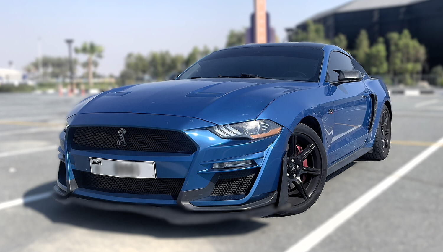 Mustang-Verleih in Dubai