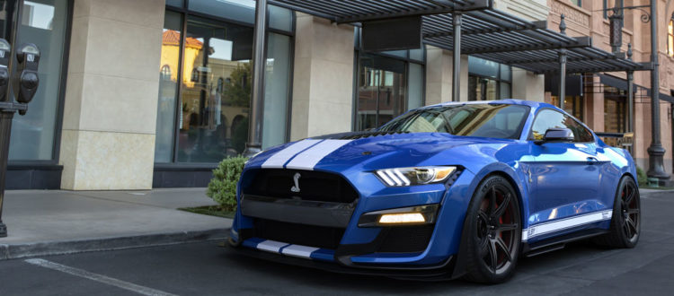 Mustang Shelby for Rent Dubai